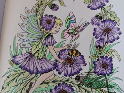 whatsapp bild 2024-02-05 um 12.55.56_42eb6aaf